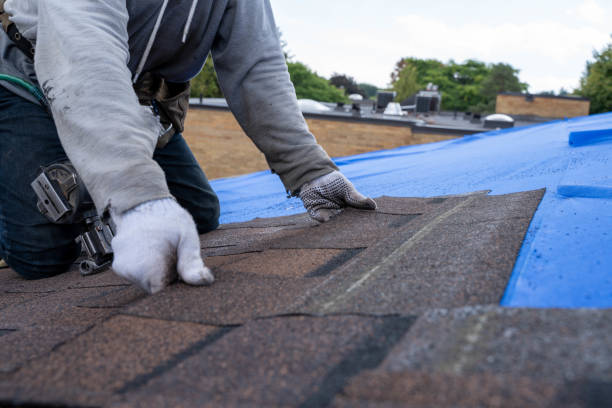 Best Storm Damage Roof Repair  in Navy, VA